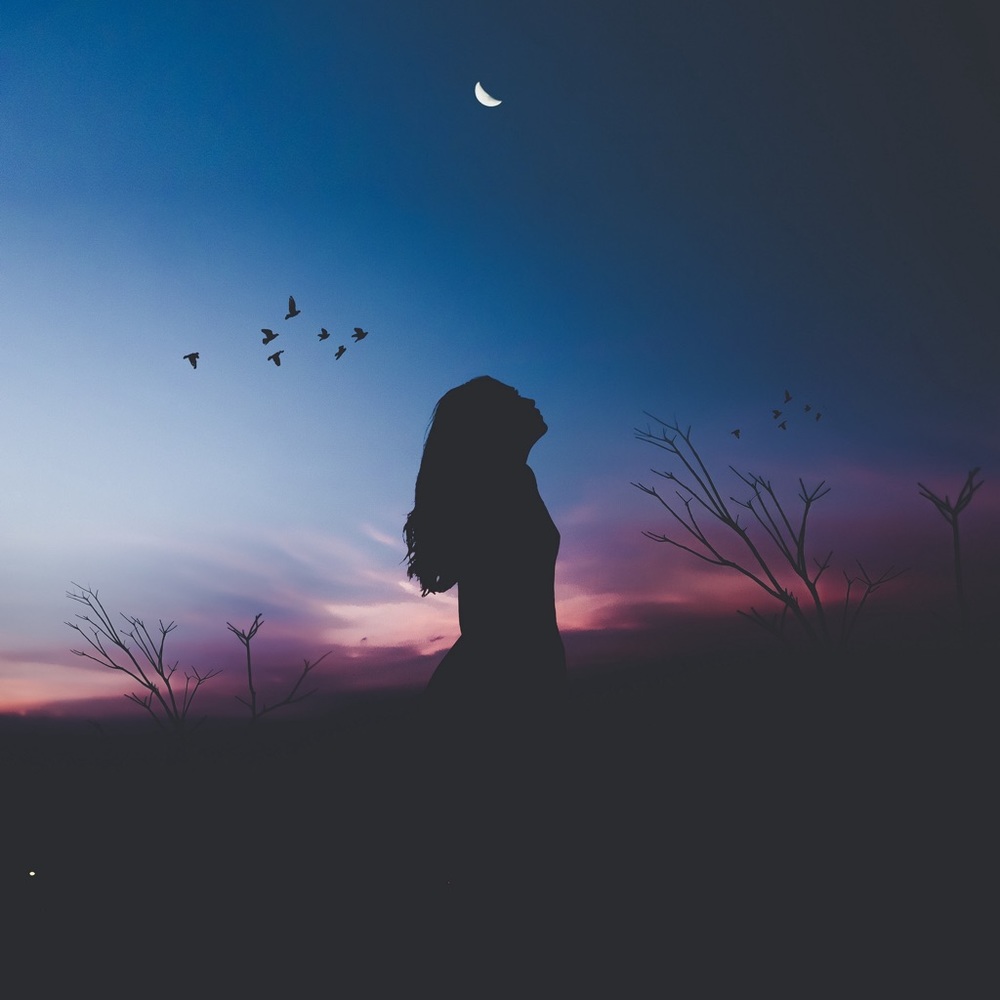 Meet your Posher, Ana